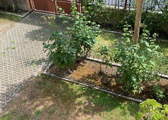 Ca' Aleardi 아파트 *